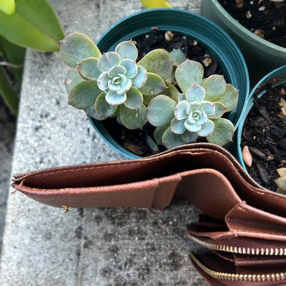 Louis Vuitton monogram bifold wallet - Picture 12 of 16